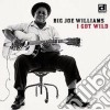 Big Joe Williams - I Got Wild cd