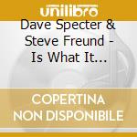 Dave Specter & Steve Freund - Is What It Is cd