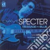 Dave Specter - Message In Blues cd
