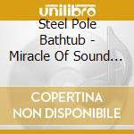 Steel Pole Bathtub - Miracle Of Sound In Motion cd
