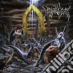 (LP Vinile) Immolation - Here In After vinile