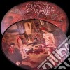 (LP Vinile) Cannibal Corpse - Gallery Of Suicide (Picture Disc) cd