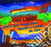 Cody Canada - Some Old Some New Maybe A Cover Or Two cd