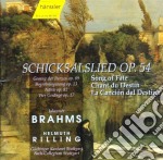 Johannes Brahms / Rilling / Bach-Colleg - Schickalslied Op 54