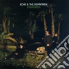 Echo & The Bunnymen - Evergreen cd