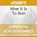 What It Is To Burn cd