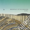 Birdsongs of the Mesozoic - Faultline cd