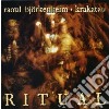Raoul Bjorkenheim - Ritual cd