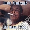 Junior Kimbrough - God Knows I Tried cd