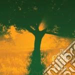 (LP Vinile) Antlers (The) - Green To Gold vinile