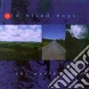 Old Blind Dogs - The World's Room cd