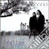 Pete & Maura Kennedy - River Of Fallen Stars cd