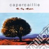 To the moon - capercaillie cd