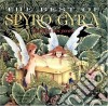 Spyro Gyra - The Best Of The First Ten Years cd