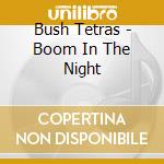 Bush Tetras - Boom In The Night cd musicale di Bush Tetras