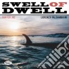 (LP Vinile) Surfer Joe / Lorenzo Valdambrini - Swell Of Dwell cd