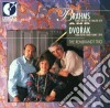 Antonin Dvorak / Johannes Brahms - Piano Trios cd