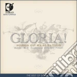 Bach Choir Of Bethlehem - Gloria! Songs Of Exaltation / Vienna Vocal Consort, Graysteil, Bach Choir Of Bethlehem, Sarband, Proteus 7, Capella Alamire  cd