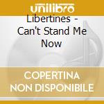 Libertines - Can't Stand Me Now cd