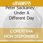 Peter Sackaney - Under A Different Day cd musicale di Peter Sackaney