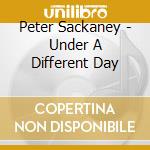 Peter Sackaney - Under A Different Day