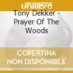 Tony Dekker - Prayer Of The Woods