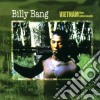 Billy Bang - Vietnam The Aftermath cd