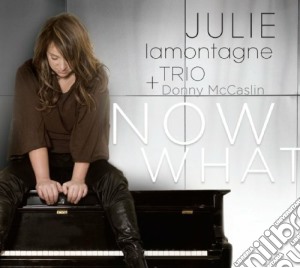 Julie Lamontagne + Donny Mccaslin Trio - Now What cd musicale di Julie lamontagne + d