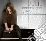 Julie Lamontagne + Donny Mccaslin Trio - Now What