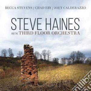 Steve Haines And The Third Floor Orchestra - Steve Haines And The Third Floor Orchestra cd musicale di Steve Haines And The Third Floor Orchestra