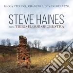 Steve Haines And The Third Floor Orchestra - Steve Haines And The Third Floor Orchestra