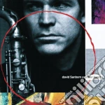 David Sanborn - Another Hand cd