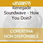 Renegade Soundwave - How You Doin? cd