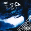 Staind - Break The Cycle cd musicale di STAIND