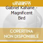 Gabriel Kahane - Magnificent Bird cd