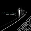 (LP Vinile) Joshua Redman - Come What May cd