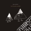 Sam Amidon - The Following Mountain cd