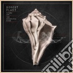 Robert Plant - Lullaby And...The Ceaseless Roar