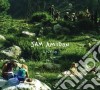Sam Amidon - Lily-o cd