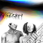 (LP Vinile) Front Bottoms (The) - Going Grey vinile
