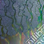 (Audiocassetta) Alt-J - Awesome Wave cd
