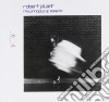 Robert Plant - The Principle Of Moments cd
