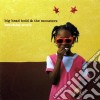 Big Head Todd & The Monsters - Beautiful World cd