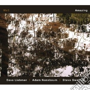 Dave Liebman - Amazing cd musicale di Dave Liebman