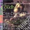 Celtic dancing music - 26 brani famosi cd