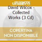 David Wilcox - Collected Works (3 Cd) cd musicale di David Wilcox