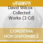 David Wilcox - Collected Works (3 Cd) cd