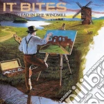 It Bites - Big Lad In The Windmill cd