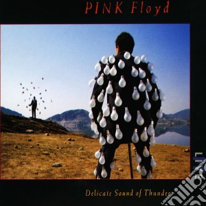 Pink Floyd - Delicate Sound Of Thunder Live (2 Cd) cd musicale di PINK FLOYD