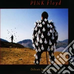 Pink Floyd - Delicate Sound Of Thunder Live (2 Cd) cd